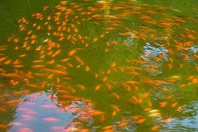 恐怖动作冒险游戏《邪吟》上架Steam 秋季发售支持中文